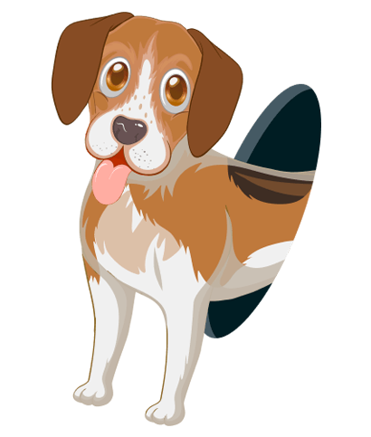 Pet Plaze